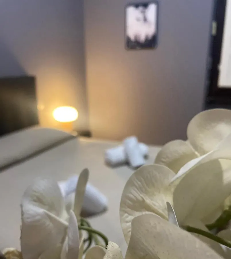 Palazzo Oliveto Bed & Breakfast Florence